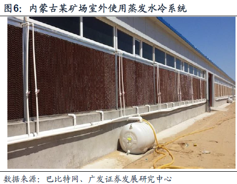 资产增值10000倍？全球比特币地下黑矿场探秘