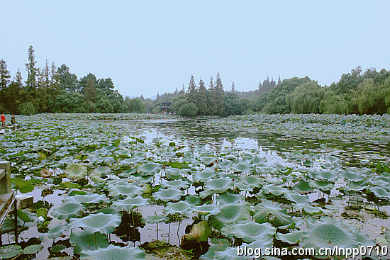 水是西湖云是天，踏遍红尘路，结伴水云间