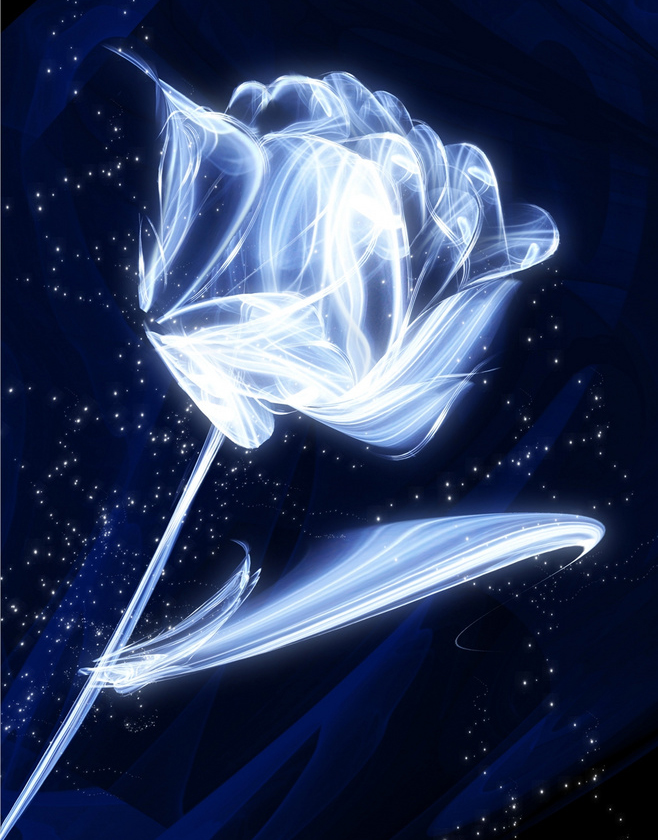 蓝色妖姬的花语是什么意思？花语代表清纯的爱 6