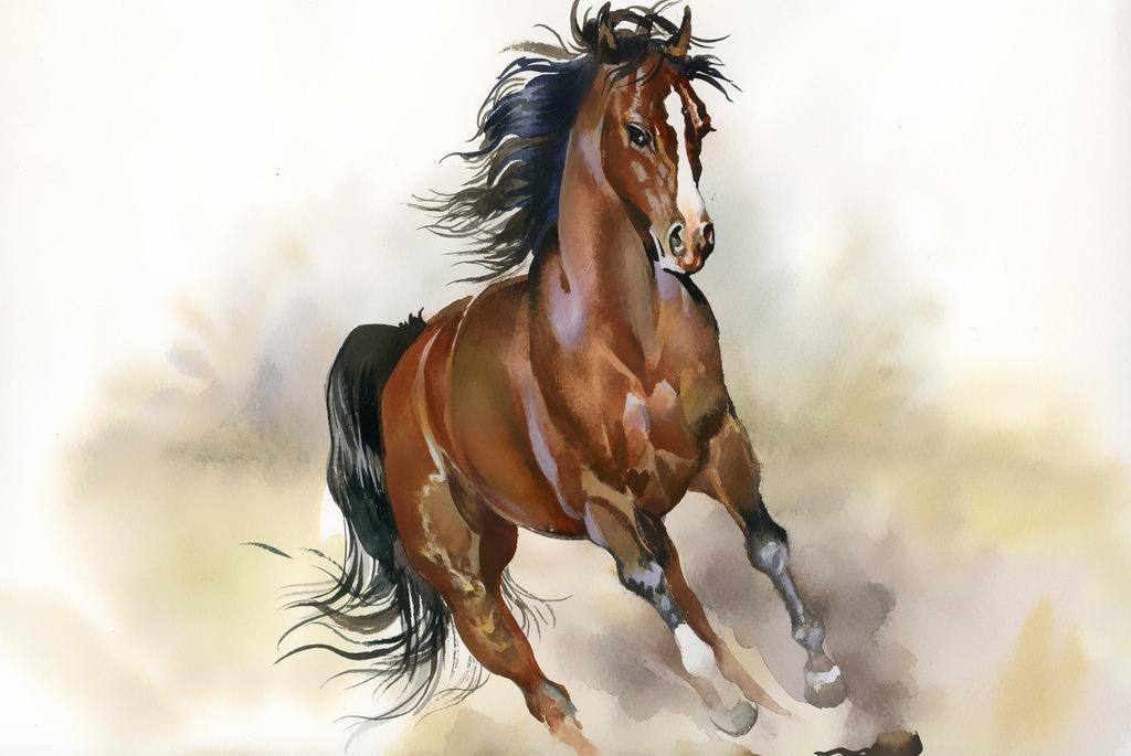 生肖分析:十二生肖下半年的运势走向(三)