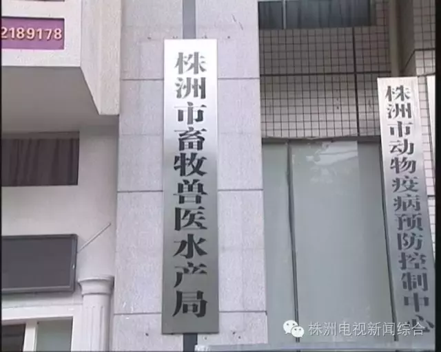 活久见！饭店吃个饭，竟然被鱼给咬啦？！