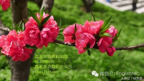 involve词意与Work在表达中的含义