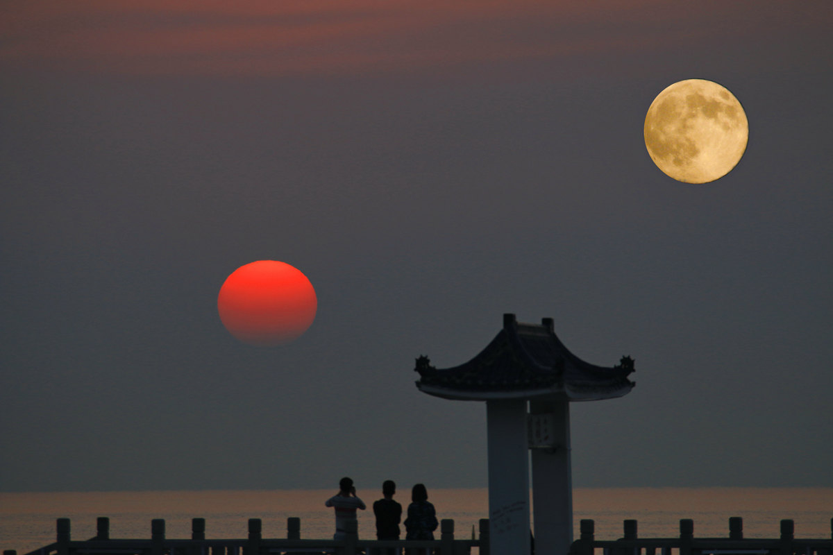 你命中有一颗星叫"太阳星"!