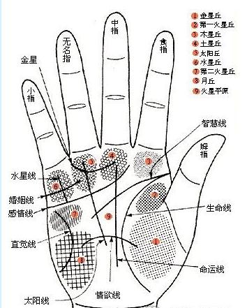 拥有这种手相的女子，注定恋爱无果，婚姻不幸