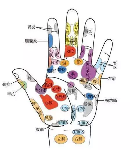 中医讲"十指连心",意思是每根手指与全身各处的器官连在一起.