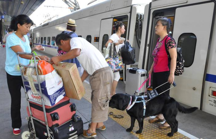 火车上可以带宠物吗，宠物过安检注意事项！