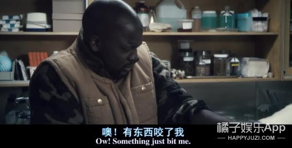 友情提示：密集恐惧者慎入