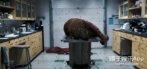 友情提示：密集恐惧者慎入