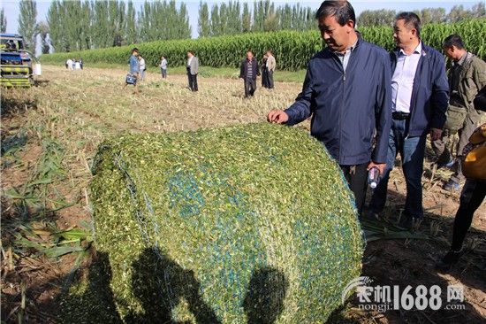 甘肅省機(jī)械科學(xué)研究院:青貯飼料收獲機(jī)行業(yè)的一匹黑馬