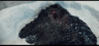 友情提示：密集恐惧者慎入