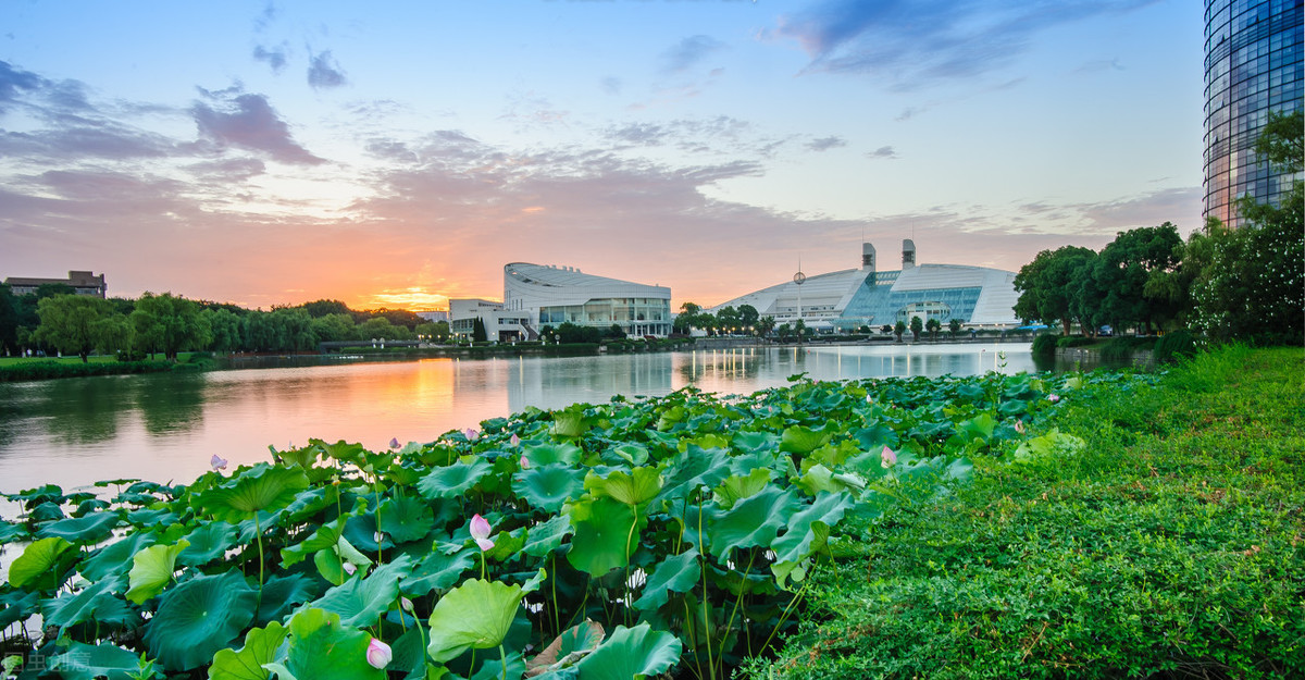 杭州高校最新排行榜，新一线城市杭州有哪些不错的大学值得关注？