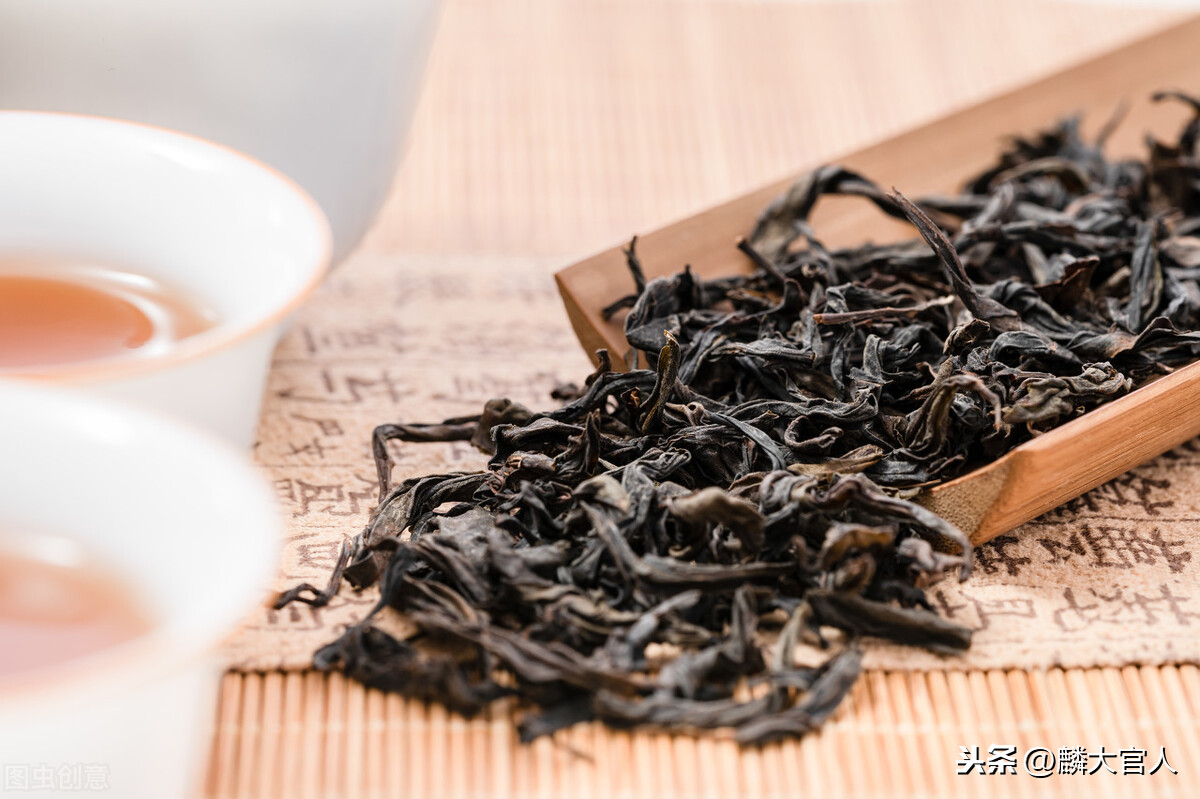 烏龍茶屬于什么茶,烏龍茶屬于什么茶紅茶還是綠茶