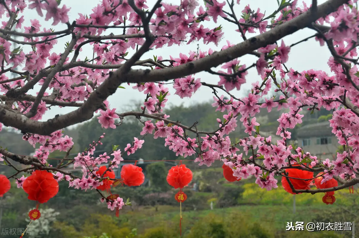 庆祝新年的古诗词有哪些（2022关于新年的诗词佳句）