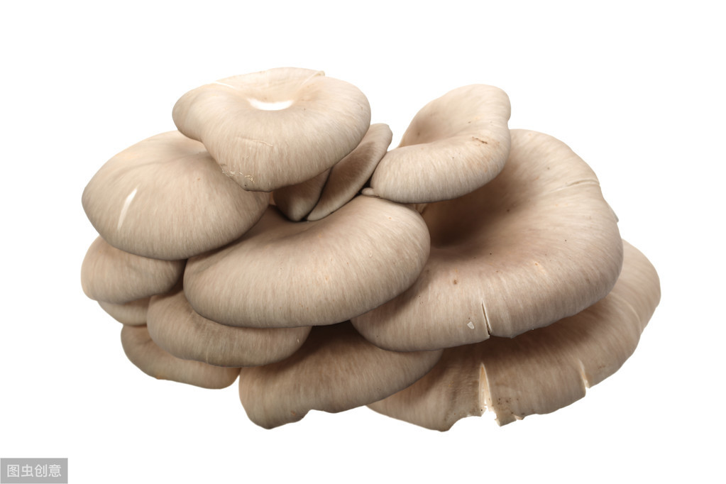 蘑菇怎么做好吃,蘑菇怎么做好吃又简单