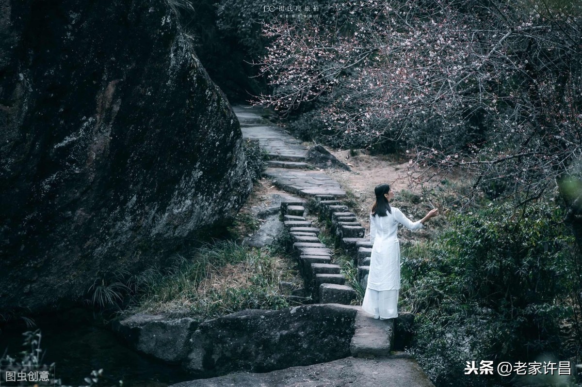 我望明月嫦娥舞，只羡鸳鸯不羡仙