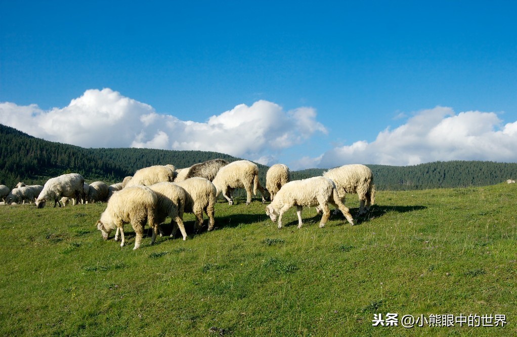 抗击疫情，他们把"自己"奉献给了大家，却唯独没有留给家人