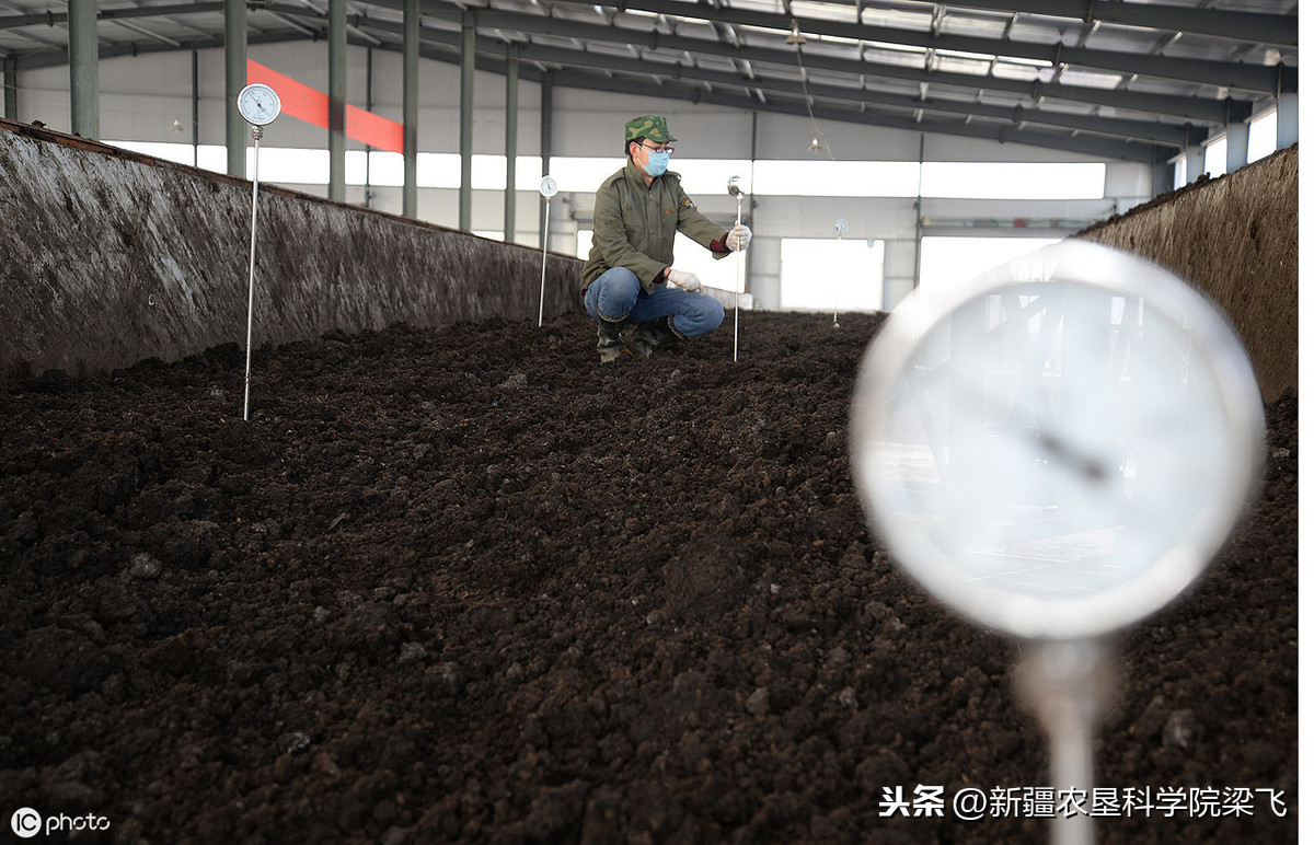 用通俗语音讲清楚盐碱地改良该如何做—碱土改良的基本思路与方法