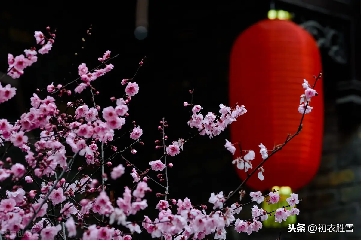 庆祝新年的古诗词有哪些（2022关于新年的诗词佳句）