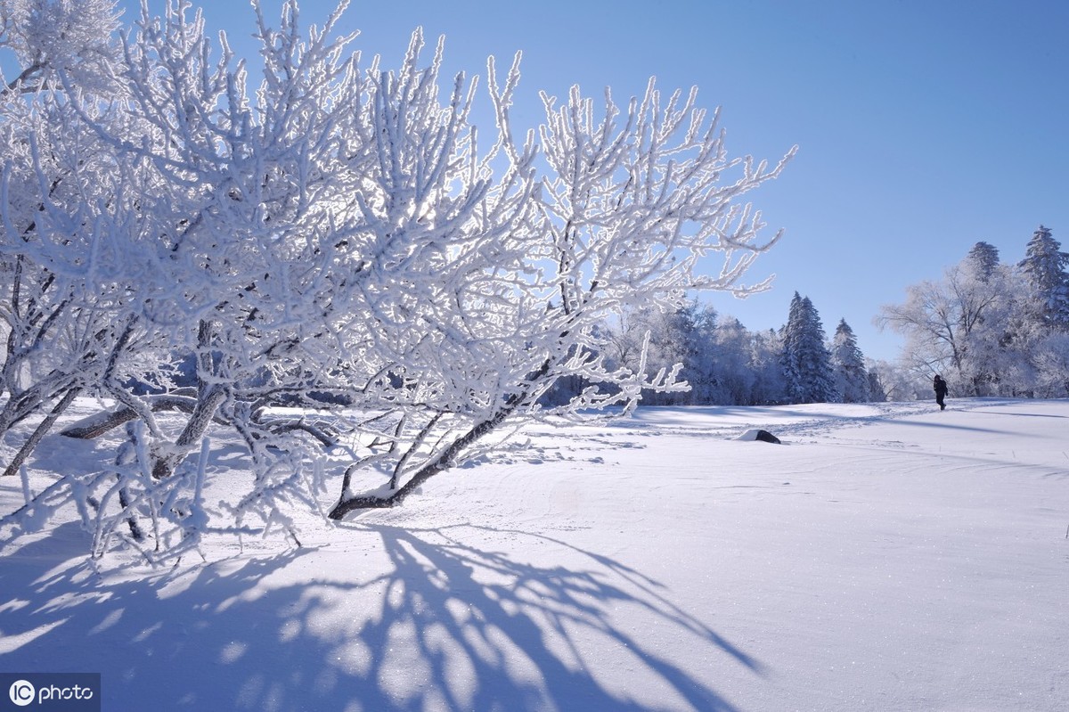 異地戀關於初雪的說說配圖「簡短」 _qq說說網