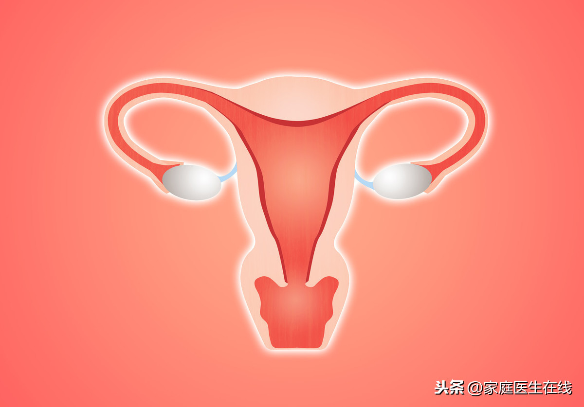 宫腔镜检查是妇科常见检查手段！这几个知识点，医生希望女性记住