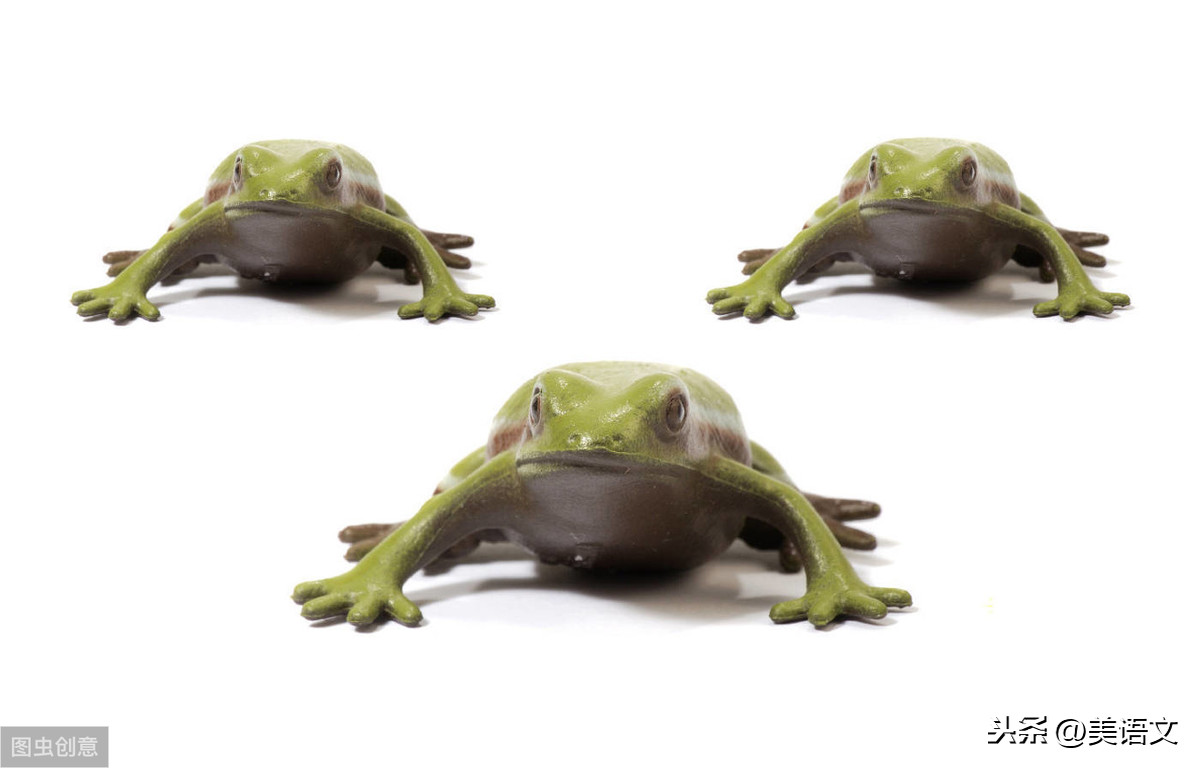 我是一只青蛙