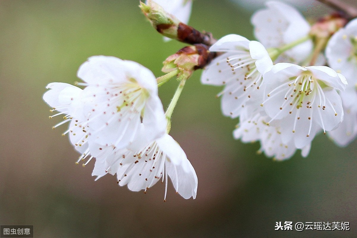 ﻿满心无奈心累的句子，送给心累的你