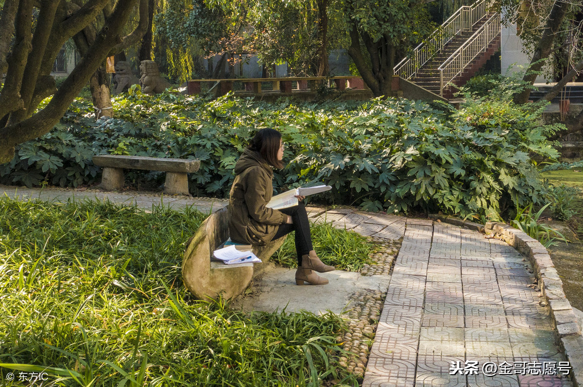 四川师范大学：2018年分专业录取分数线，中等生的理想选择