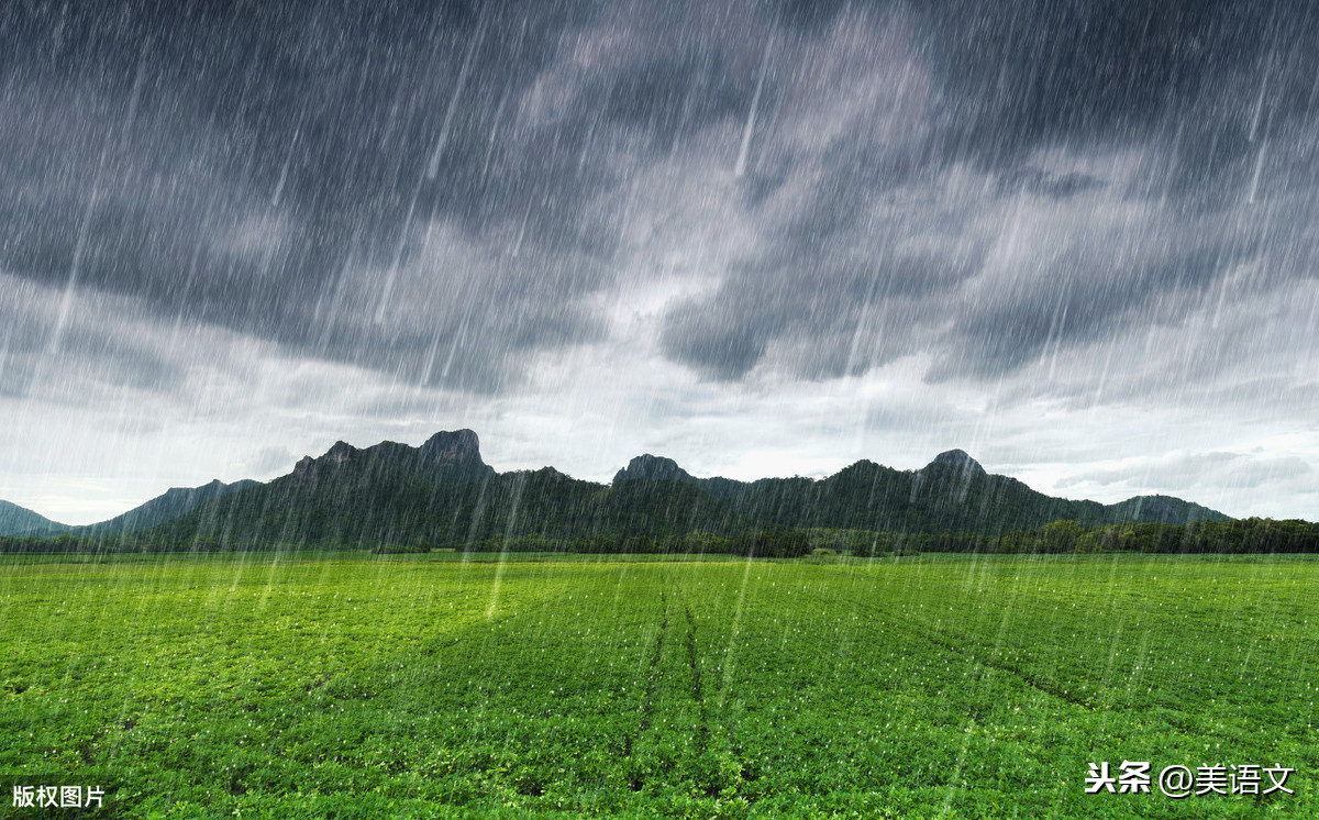 写雨的作文三年级300字：雨-小学作文