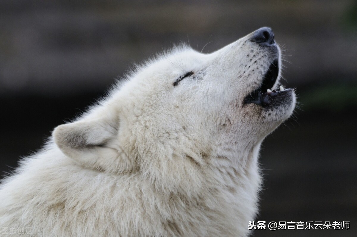 五音不全？唱歌不好听？专业老师教你10步开嗓，让你秒变歌神