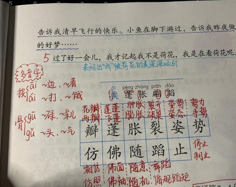 三年级语文《荷花》，老师整理精华知识点，孩子学习有效率！