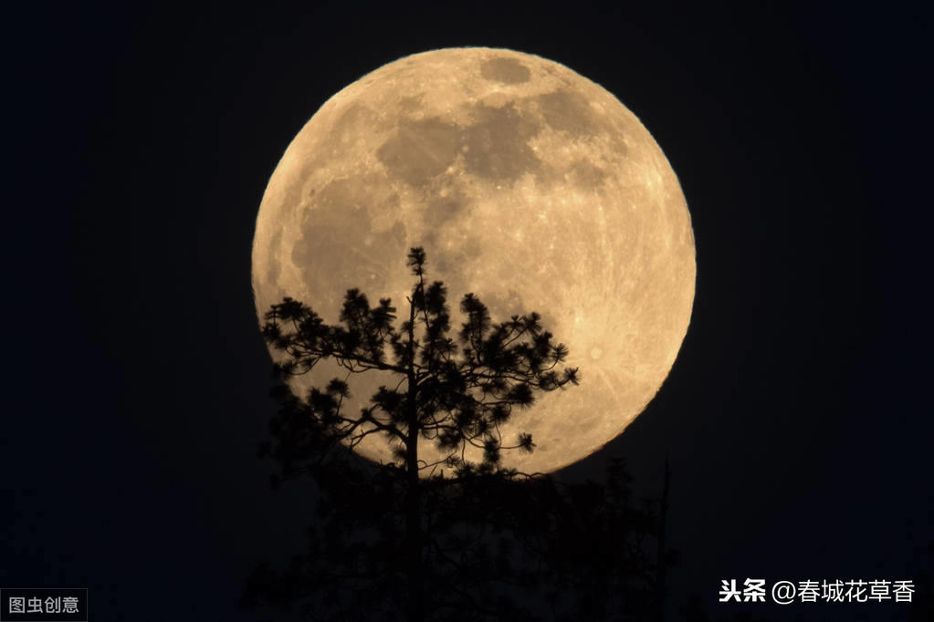 月色如水，照清愁；浮云遮面，醉还羞。