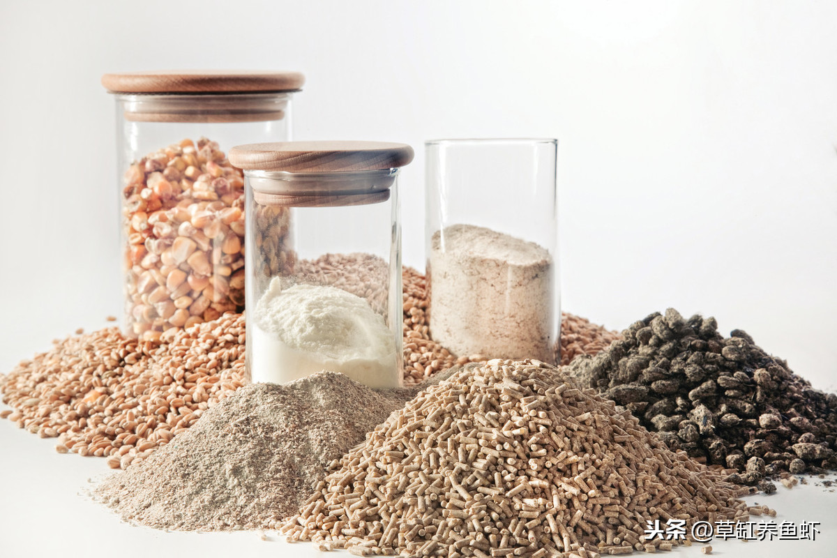 鱼食放进鱼缸容易，再想捞出来就难了，保存鱼食你不能随随便便