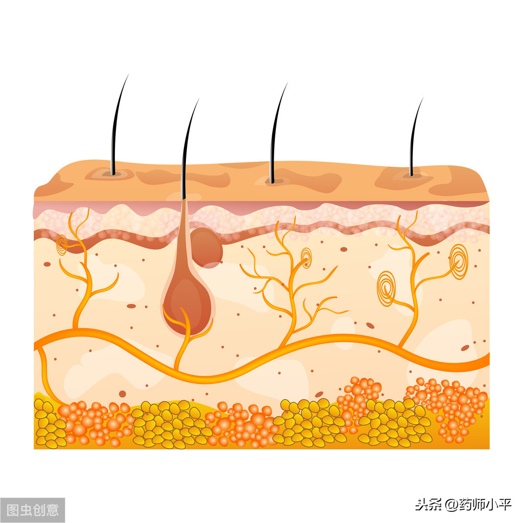 手上长小水泡、脱屑还奇痒，湿疹和手癣如何治疗？一文为你全说清