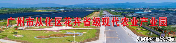 广州市从化区万花园花卉产业园产业化联合体成立暨第一次会议