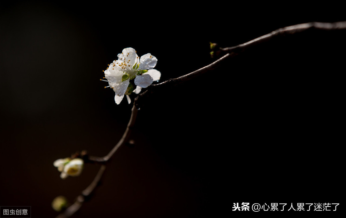 人生感悟的励志语录，勇往直前，为自己赢得出路