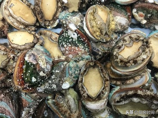 鮑魚怎么做,鮑魚怎么做最簡便最好吃呢