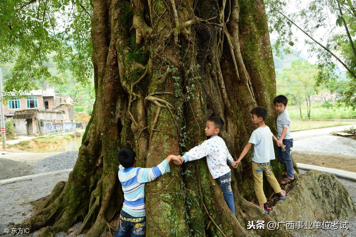 事业单位编制外工资能有多少？广西各地市编外工资参照在这里！