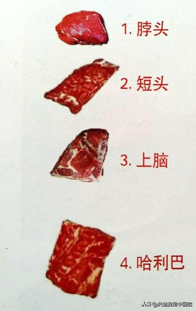 子蓋是牛的哪個部位(教你看牛肉各部位分解圖)