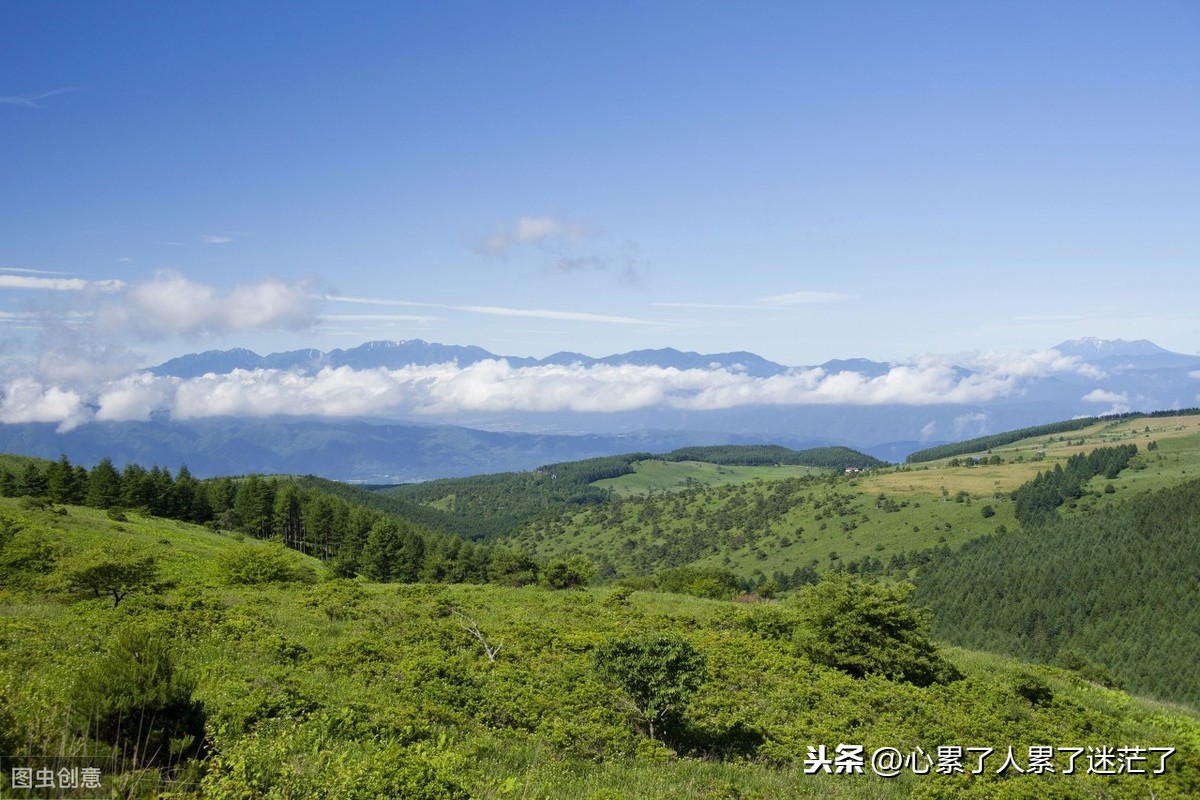 人生感悟经典句子，不必活在别人的世界里，迷失自我