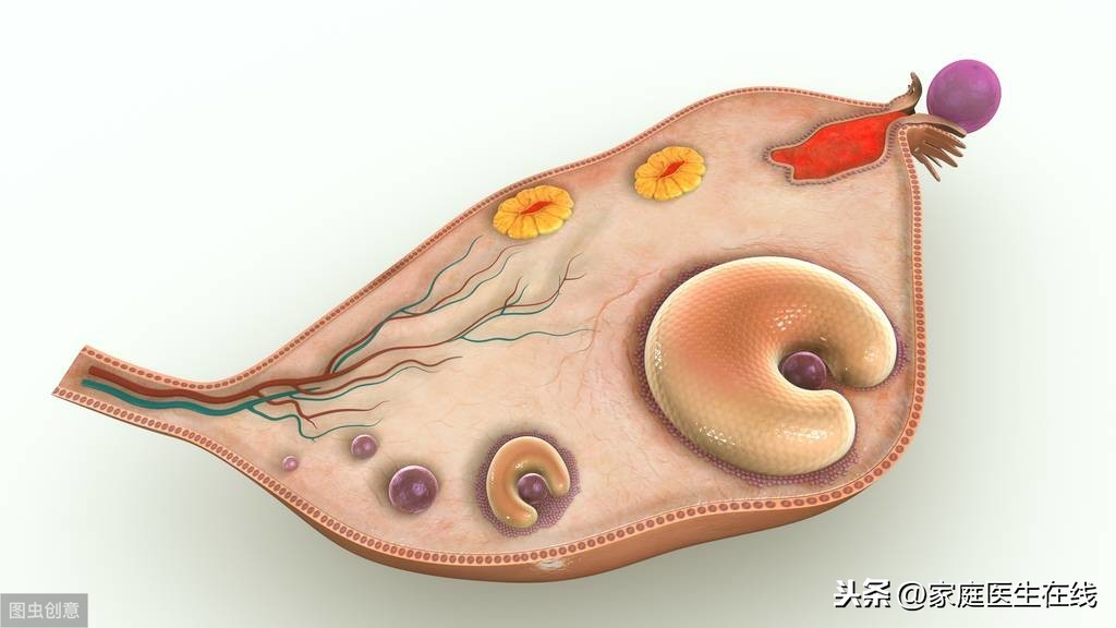 如何治疗多囊卵巢综合症？一般通过这3种方式