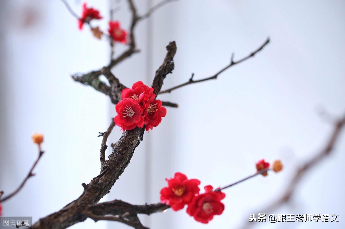 小学满分作文的秘诀！语文句子仿写，老师建议人手一份