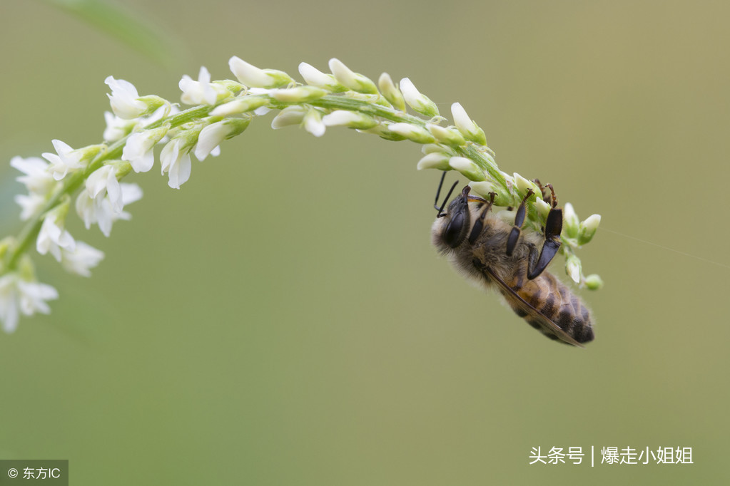 十二星座中的你属于什么控，快来看看你自己的ba