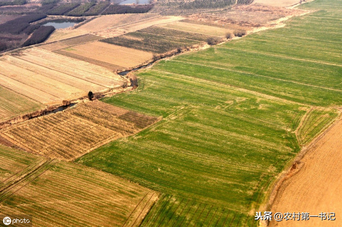 农村土地承包经营权转让合同怎么写？附参考范本