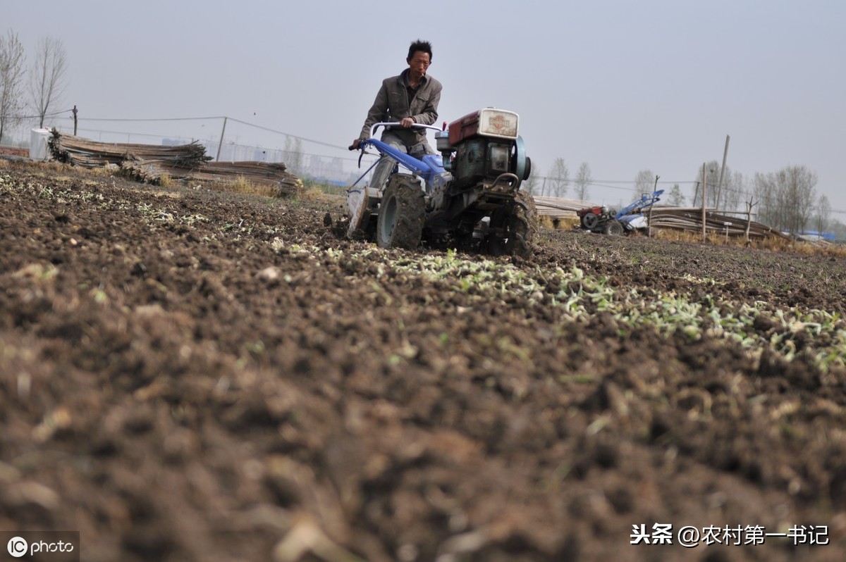 农村土地承包经营权转让合同怎么写？附参考范本