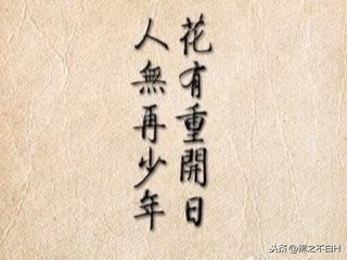 有哪些无关爱情的长句子？