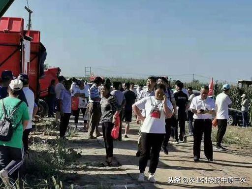 规模盛大！第二届华北农机地头展在中国庞口成功举行