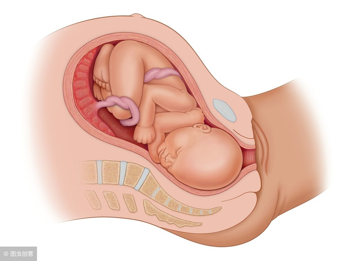 宝宝满足什么条件可以出生？主要是这3个指标符合要求，孕妇须知
