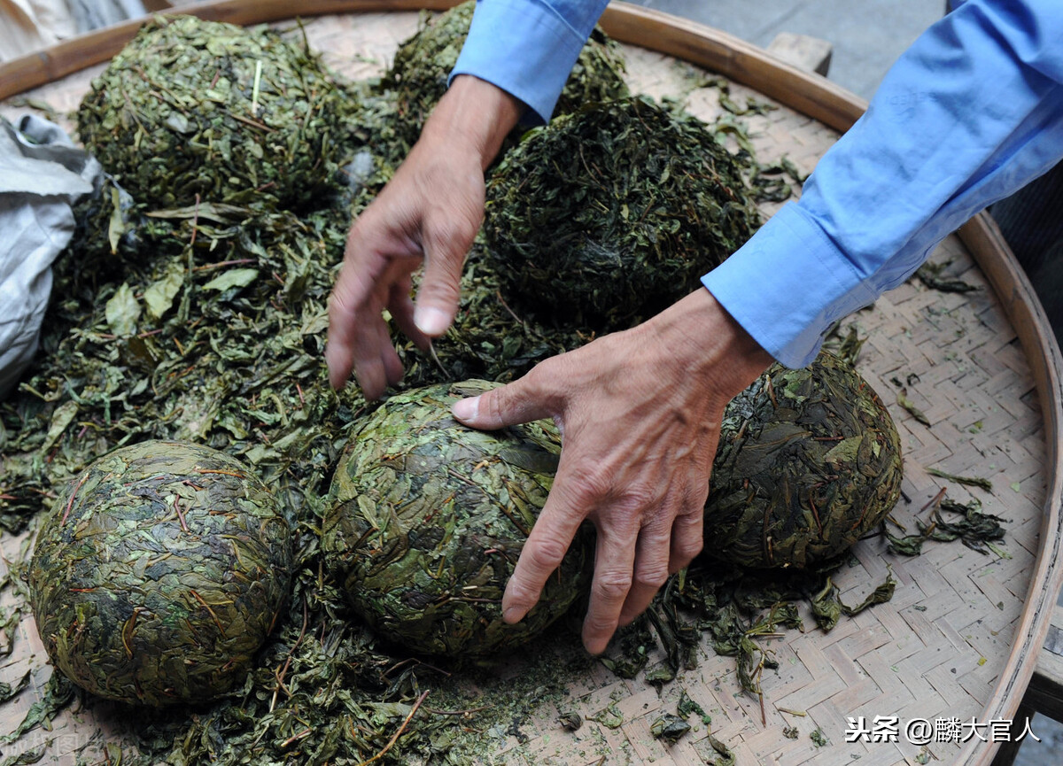 烏龍茶屬于什么茶,烏龍茶屬于什么茶紅茶還是綠茶