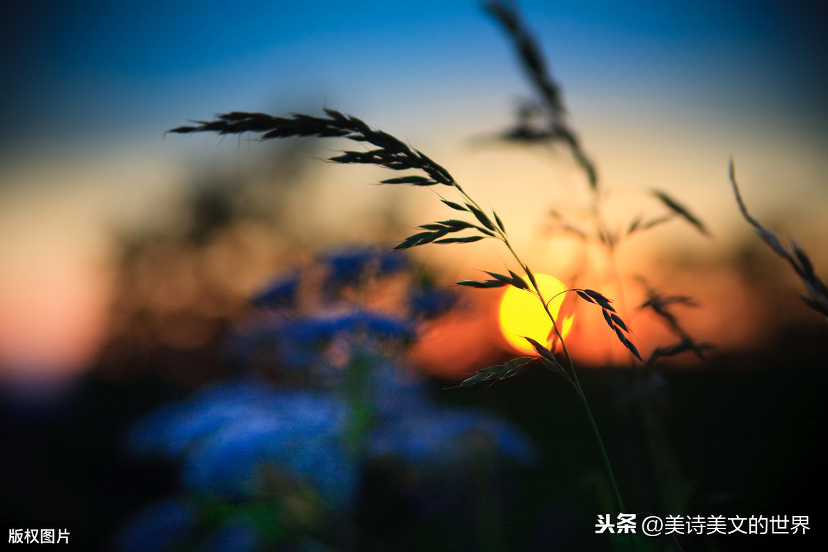 苏轼水平很高的一首词，仅4句共有两个千古名句，惊艳了900多年