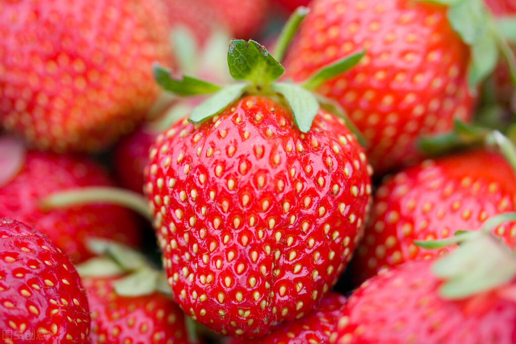 冬天，吃不完的草莓怎么储存能延缓腐烂？分享妙招给你，学会试下
